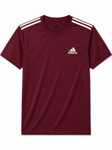 Men's Premium Sports T-Shirt